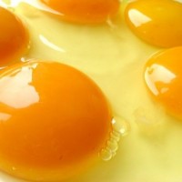 Eggs : Yolks vs Whites