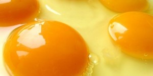 Eggs : Yolks vs Whites